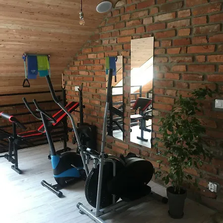 Borowa Przystan فيلة *