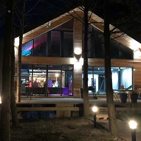 فيلة Borowa Przystan